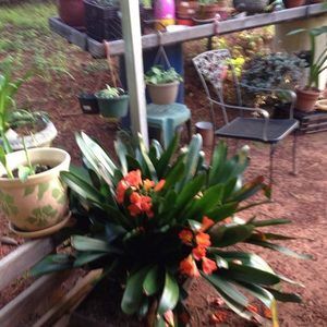 Meet your Posher, Lois